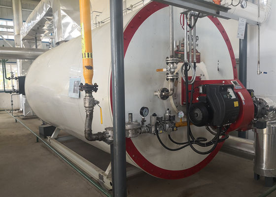 Органический боилер пара дизельного топлива 0.7MW с высоким уровнем безопасности